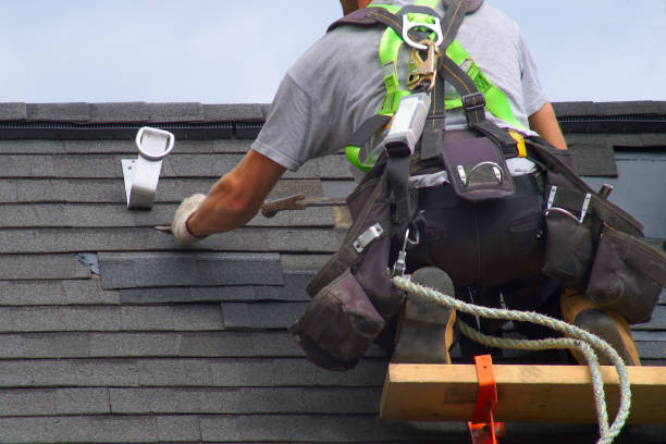 Best Storm Damage Roof Repair  in Vandercook Lake, MI